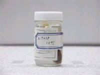 藏品(北斗阿南魚)的圖片